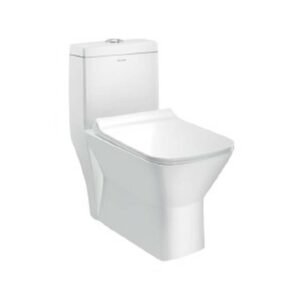 Parryware One Piece WC P-Trap Jupiter C8598 (S-220) C8611 (S-300)